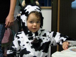 Cousin Boaz "the cow"